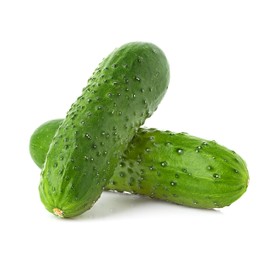 National Pickling Cucumber Seeds for Planting - Heirloom, Non-GMO, USA Grown Seeds in Premium Waterproof Packaging with Plant Information and Instructions - Cucumis Sativus