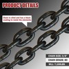 FITHOIST G80 Transport Binder Chain 3/8 Inch x 10 Foot