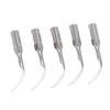 5pcs P1 Dental Clean Machine Tip Stainless Steel Heat Resistance