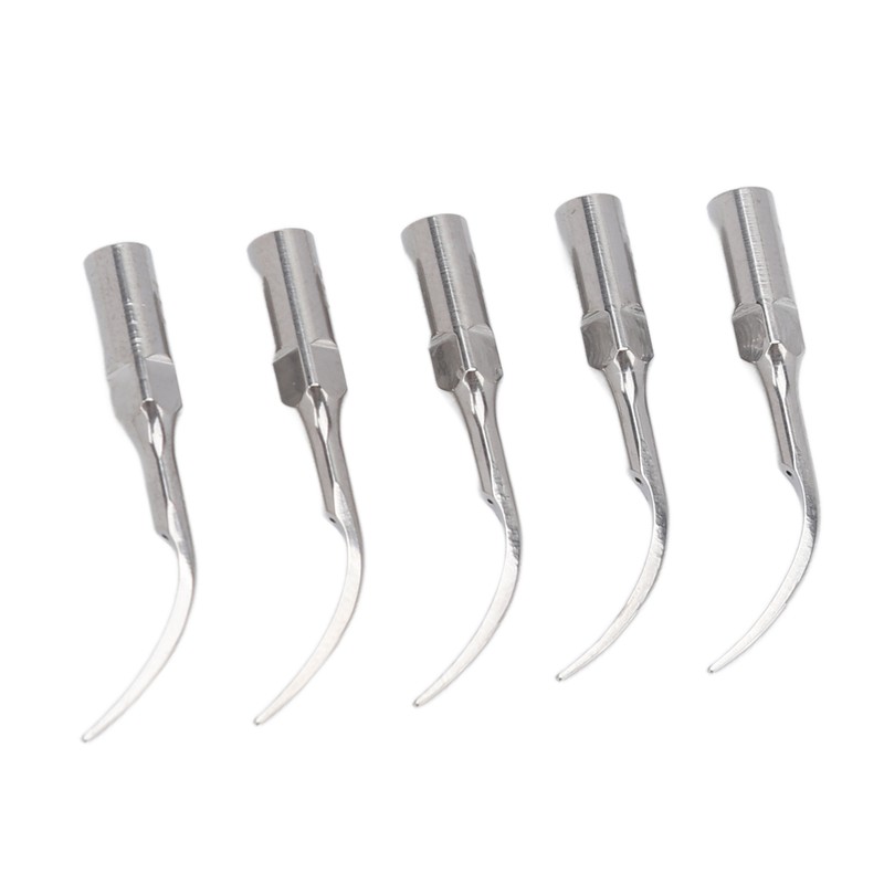 5pcs P1 Dental Clean Machine Tip Stainless Steel Heat Resistance