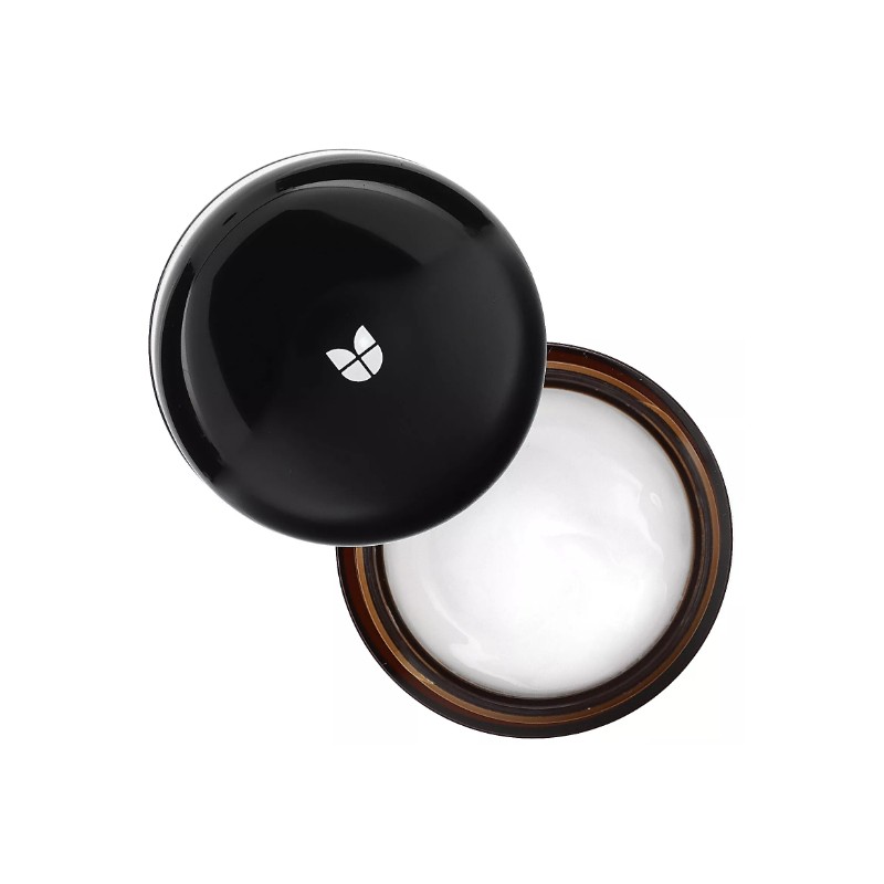 Snail Miniature Set, 4 Piece Set