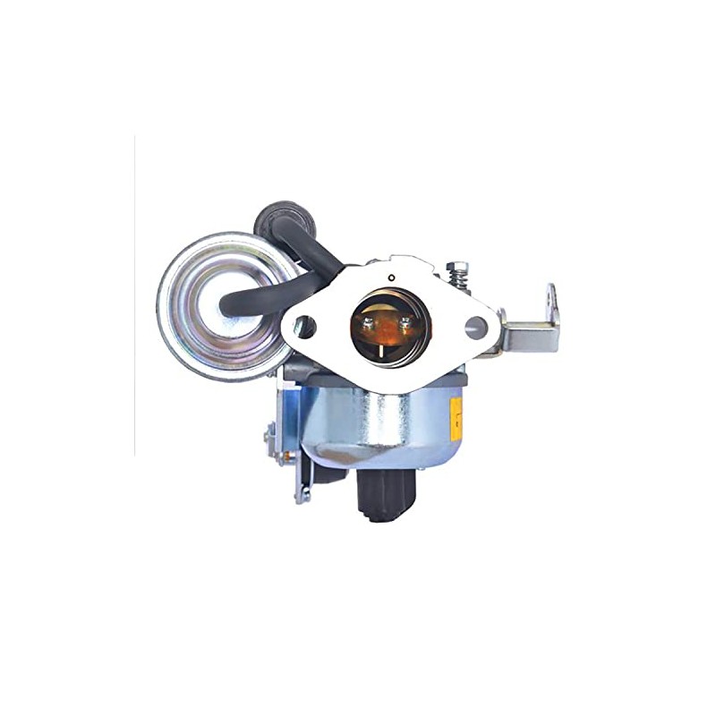 Carburetor with Gaskets Replacement for Onan 4000 4500 5000 5500
