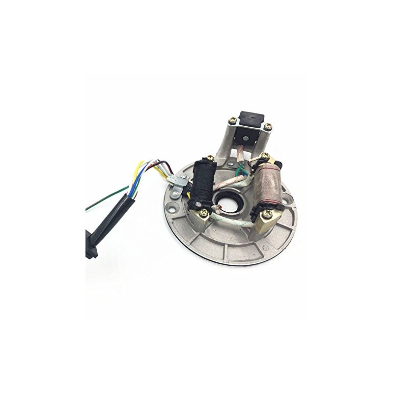 Jinkaye 2 coil ATV Quad STATOR IGNITION MAGNETO PLATE 50