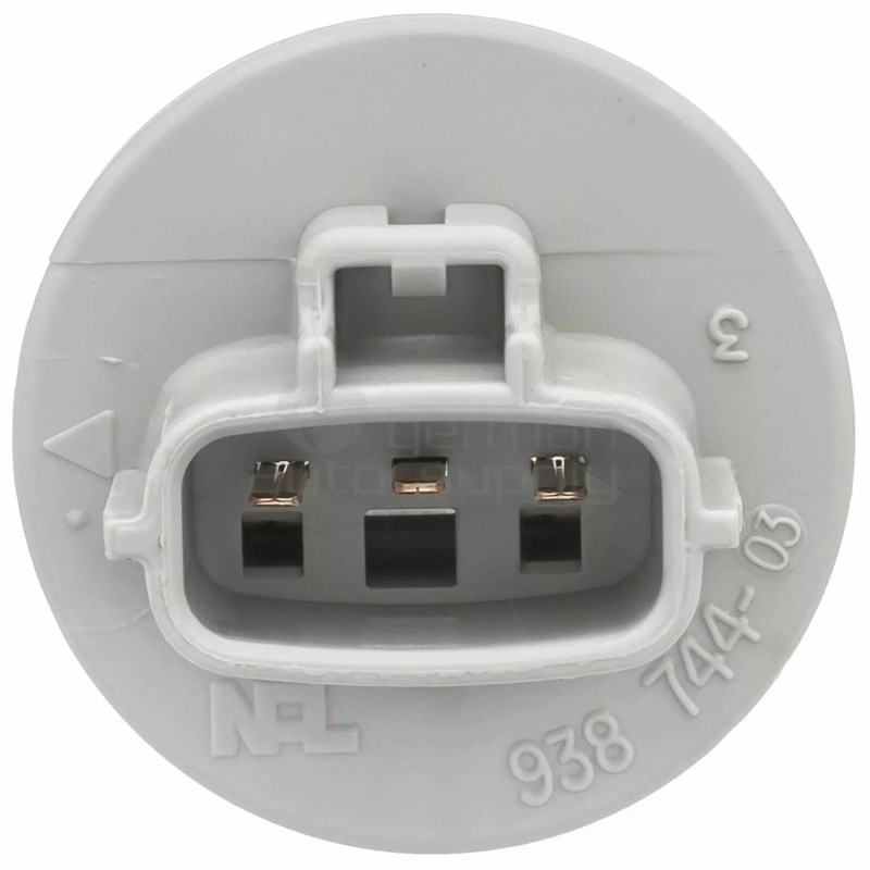 Intermotor Tail Light Socket S2612