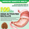 Probiotics for Dogs - Digestive Health and Immune Support, Dog
