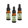ORE Aceite de Orégano Orgánico, 80% Carvacrol, 100% Natural, Gotas,