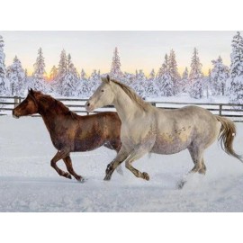 Hoffman Call Of The Wild Snowy Mustangs At Sunset Cotton Quilt Panel 31" x 44"