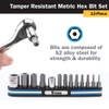 Titan 16136 13-Piece Tamper Resistant Metric Hex Bit Set