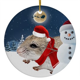 Festive Winter Night Pet and Snowman Ornament - Chinese Hamster Christmas Ornament Circle Ceramic - Funny Holiday Xmas Tree Decoration Gifts for Hamster Lovers