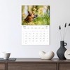 Malinois Magic: The Belgian Powerhouse (Monthly Wall Calendar 2026 11.7"