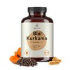 Bionutra Turmeric Powder, Organic, Natural, Premium Fine Ground Turmeric Curcumin