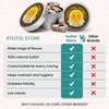 Xylitol Stone Sugar Free Candy - Vegan & Keto Friendly