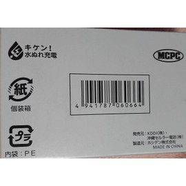 au Type C Common AC Adapter 02 0602PQA