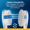 Oral Cepillo Dientes Indicator Cerdas Suaves Uds