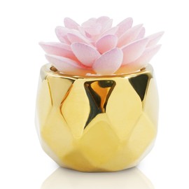 VIVERIE Mini Succulents Plants Artificial in Pots-Pink with Golden Ceramic, Christmas Small Fake Succulents Plants for Home Decor Indoor for Women, Golden Ceramic Faux Succulents, Gifts for Mom
