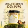 COMMONS Hongos Adaptógenos Hongo Chaga Extracto Puro en Polvo