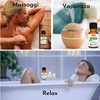EukalyptusÖl - ThymianÖl - Ravintsara Öl Bio Set Ätherisches Öl