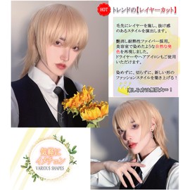 Wig, Men's Wolf Wig, Short, Men's Clothing, Black, Natural, Inner Color, Harajuku, Handsome, Imechen, Heat Resistant, Popular, Loose Fit, Men's Disguise, Unisex (Flax)