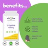 L-Lysine Supplement (1000mg) - 90 Tablets - UK Manufactured to