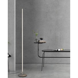 TACAHE Minimalism Floor Lamp Dimmable LED 2700K-6500K Modern Floor Lamp 57" Tall Standing Lamp with Remote Controller Metal Floor Lamps for Living Room, Bed Room 20W - Silver