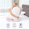 Maxzzz Standard Size Bed Pillows Set of 2, Luxury Hotel