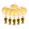 Sevici Edison Bulb, A19 Bulbs 6 Pack, Retro Style Incandescent