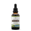 Secrets of the Tribe Stephania Root Tincture Alcohol Extract, Wildcrafted