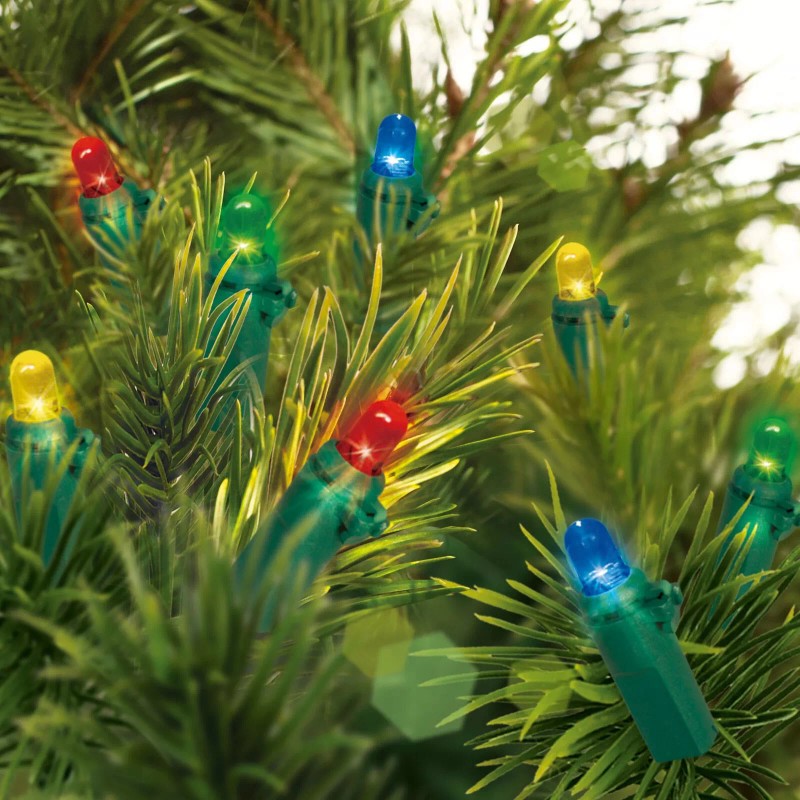 Holiday Time 20 Battery Operated LED multi color Dome Lights