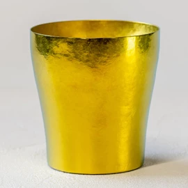 HORIE Rei/Ha Titanium Double Wall Tumbler, Produced in Tsubame Niigata Prefecture, 8.5 fl oz (250 ml), Gold