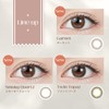 Colorcon TOPARDS Topaz Rino Ishihara Sashi, One Day, 10 Pieces,