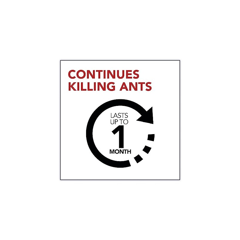 Raid Ant Gel, Kills Ants You Don't See, Continues Killing