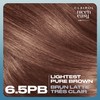 Clairol Nice'n Easy Pure Brunettes Permanent Hair Dye, 6PB Light