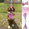 Suministros para Fiesta para Perro, Bandana de Cumpleaños para Perro,