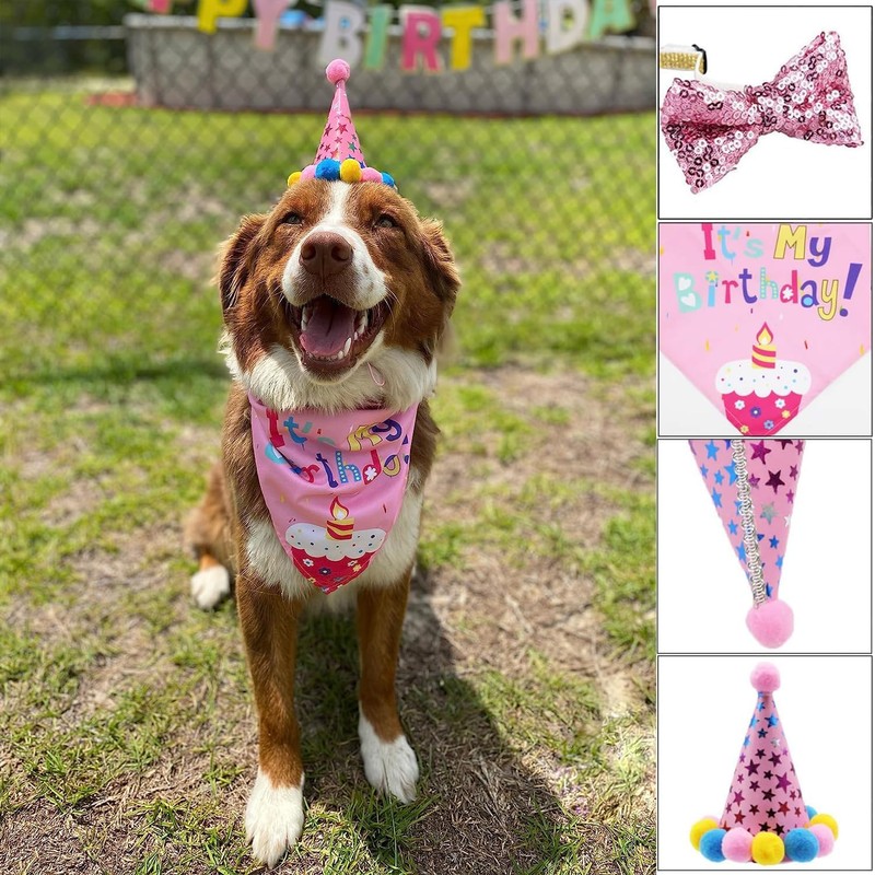 Suministros para Fiesta para Perro, Bandana de Cumpleaños para Perro,