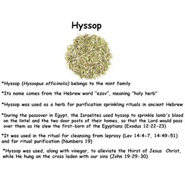 BIBLE N Beautyoils Cleanse Me with Hyssop and I Shall Be Clean Hyssop Natural Soap Bar -1 Bar Soap (Oatmeal Honey & Cinnamon)