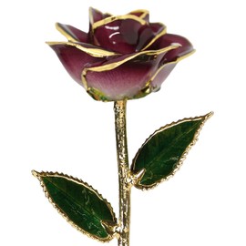 24k Gold Rose - Real Rose Dipped in Gold (2-Tone Burgundy)