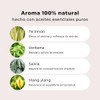PRAHYAM Aceites Esenciales de Aromaterapia Roll On 5 ml, Ansiedad