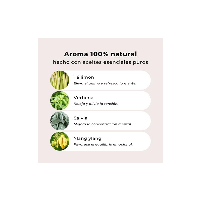 PRAHYAM Aceites Esenciales de Aromaterapia Roll On 5 ml, Ansiedad