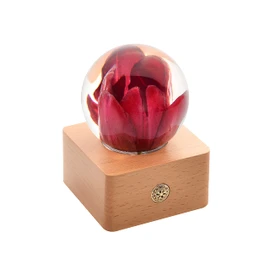 Dr. Pets Miss LI Garden Forever Red Tulip Crystal Ball, Wife Girlfriend Women, Anniversary, Mother's Day, Birthday, Valentine's Day Home Decor (14th Red Tulip)