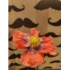 Izmir Poppy TRUE Izmir Asian OB Poppy Seed (Papaver S.)