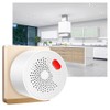 WiFi Gas Alarm Plug in Combustible Gas Detector for Tuya