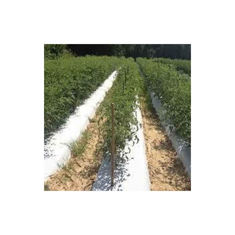 Grower's Solution White on Black Plastic Mulch 1.0 mil Embossed