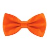 Axy FLI1 Men’s Bow Tie, Ready-Tied for a Confirmation, Adjustable,