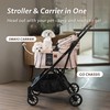 Sway2 Pet Car Seat and Carrier, 2-in-1 Booster Seat for