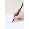 Pentel JM20LT-3 Rollerball Pen, Plaman, Limited 3 Color Set, Brown