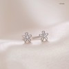 Women's Swinging Earrings, Second Earrings, S925 Silver, Hypoallergenic, Both Ears,