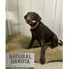 Natural Dakota Premium Deer Antler Dog Chew Toys