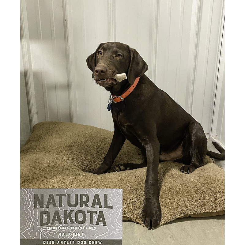 Natural Dakota Premium Deer Antler Dog Chew Toys