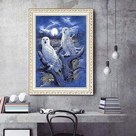 Better Selection DIY 5D Diamond Art by Number Kits for Adults Full Round Drill, White Owl Paintings Embroidery Pictures Arts Craft for Home Wall Decor, 5D Painting Dots Kits 11.8x15.7 inch