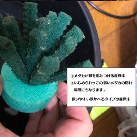 HIMARISUN Japanese Brand, Includes a Safe Guide Book for Removing Medaka Eggs, Jagged Feet, Easy to Tangle, Increased Spawning Area, Set of 4, 4 Colors (Yellow, Blue, Red, Green)